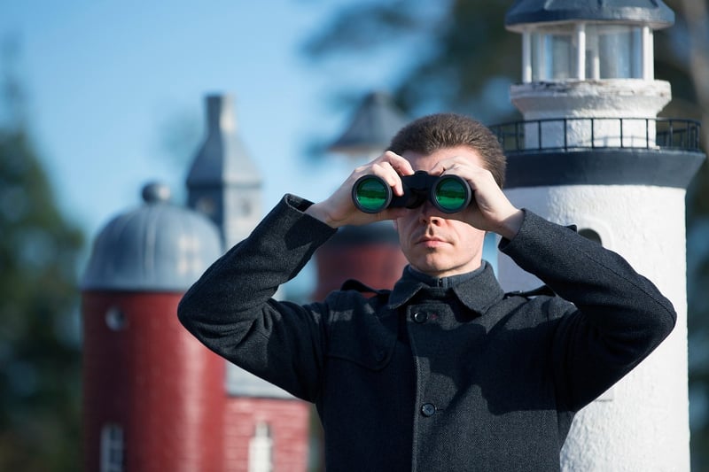 Toilet paper roll binoculars